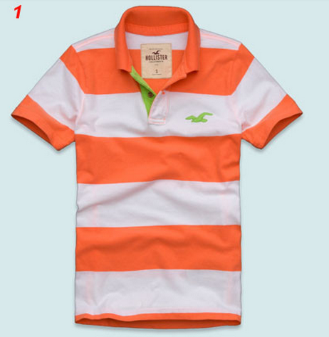 CAMISA HOLLISTER - POLO